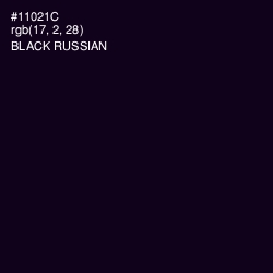 #11021C - Black Russian Color Image