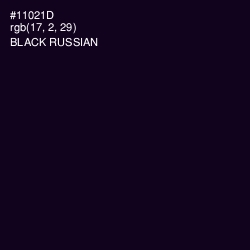 #11021D - Black Russian Color Image