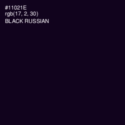 #11021E - Black Russian Color Image