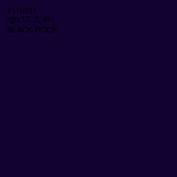 #110231 - Black Rock Color Image