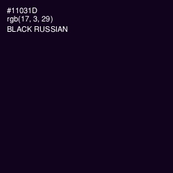#11031D - Black Russian Color Image