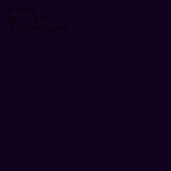 #11031F - Black Russian Color Image