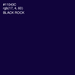 #11043C - Black Rock Color Image