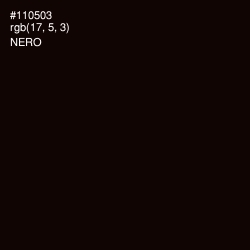 #110503 - Nero Color Image