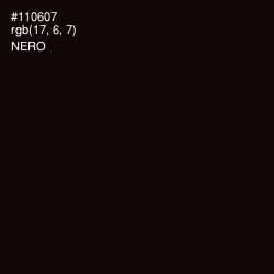 #110607 - Nero Color Image