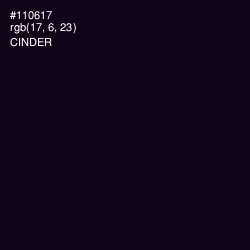 #110617 - Cinder Color Image