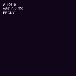 #110619 - Ebony Color Image