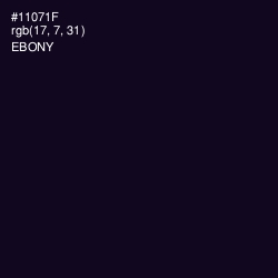 #11071F - Ebony Color Image