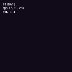 #110A18 - Cinder Color Image