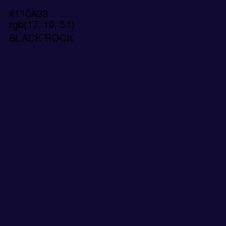 #110A33 - Black Rock Color Image