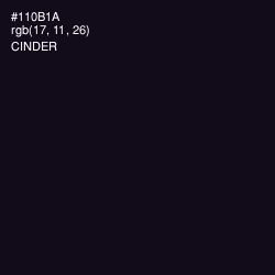 #110B1A - Cinder Color Image