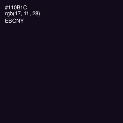 #110B1C - Ebony Color Image