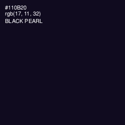 #110B20 - Black Pearl Color Image