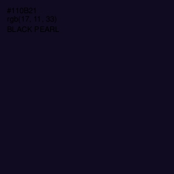 #110B21 - Black Pearl Color Image