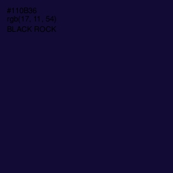 #110B36 - Black Rock Color Image