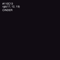 #110C13 - Cinder Color Image