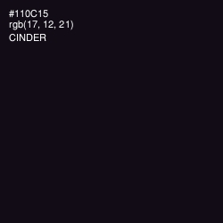 #110C15 - Cinder Color Image