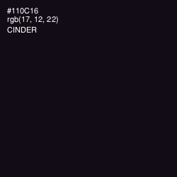 #110C16 - Cinder Color Image