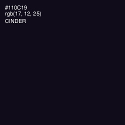 #110C19 - Cinder Color Image