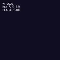 #110C20 - Black Pearl Color Image