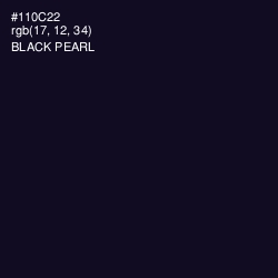 #110C22 - Black Pearl Color Image