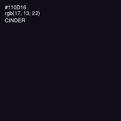 #110D16 - Cinder Color Image