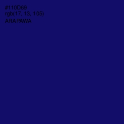 #110D69 - Arapawa Color Image