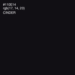 #110E14 - Cinder Color Image