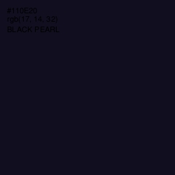 #110E20 - Black Pearl Color Image