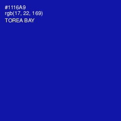 #1116A9 - Torea Bay Color Image