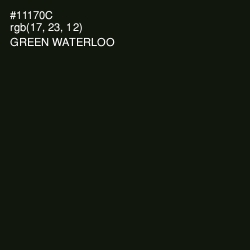 #11170C - Green Waterloo Color Image