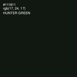 #111811 - Hunter Green Color Image