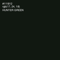 #111812 - Hunter Green Color Image