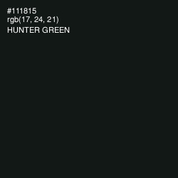 #111815 - Hunter Green Color Image