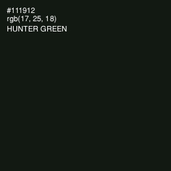 #111912 - Hunter Green Color Image