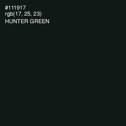 #111917 - Hunter Green Color Image