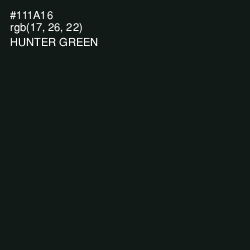 #111A16 - Hunter Green Color Image