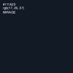 #111A25 - Mirage Color Image