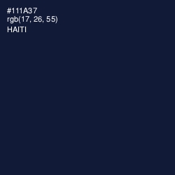 #111A37 - Haiti Color Image