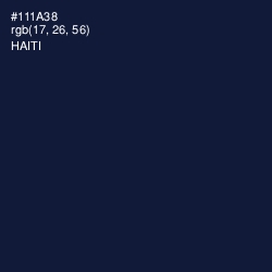 #111A38 - Haiti Color Image