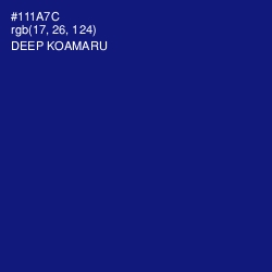 #111A7C - Deep Koamaru Color Image