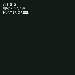 #111B13 - Hunter Green Color Image