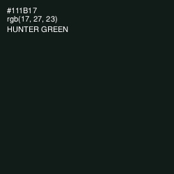 #111B17 - Hunter Green Color Image