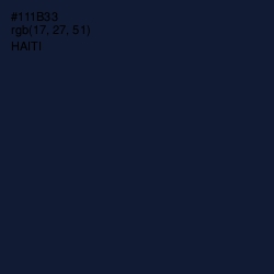 #111B33 - Haiti Color Image