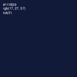 #111B39 - Haiti Color Image