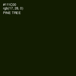 #111C00 - Pine Tree Color Image