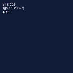 #111C39 - Haiti Color Image