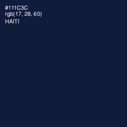 #111C3C - Haiti Color Image