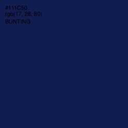 #111C50 - Bunting Color Image