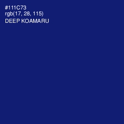 #111C73 - Deep Koamaru Color Image